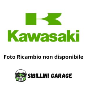 11004061 Guarnizione Testata Originale Kawasaki KH400 S3 MACHII