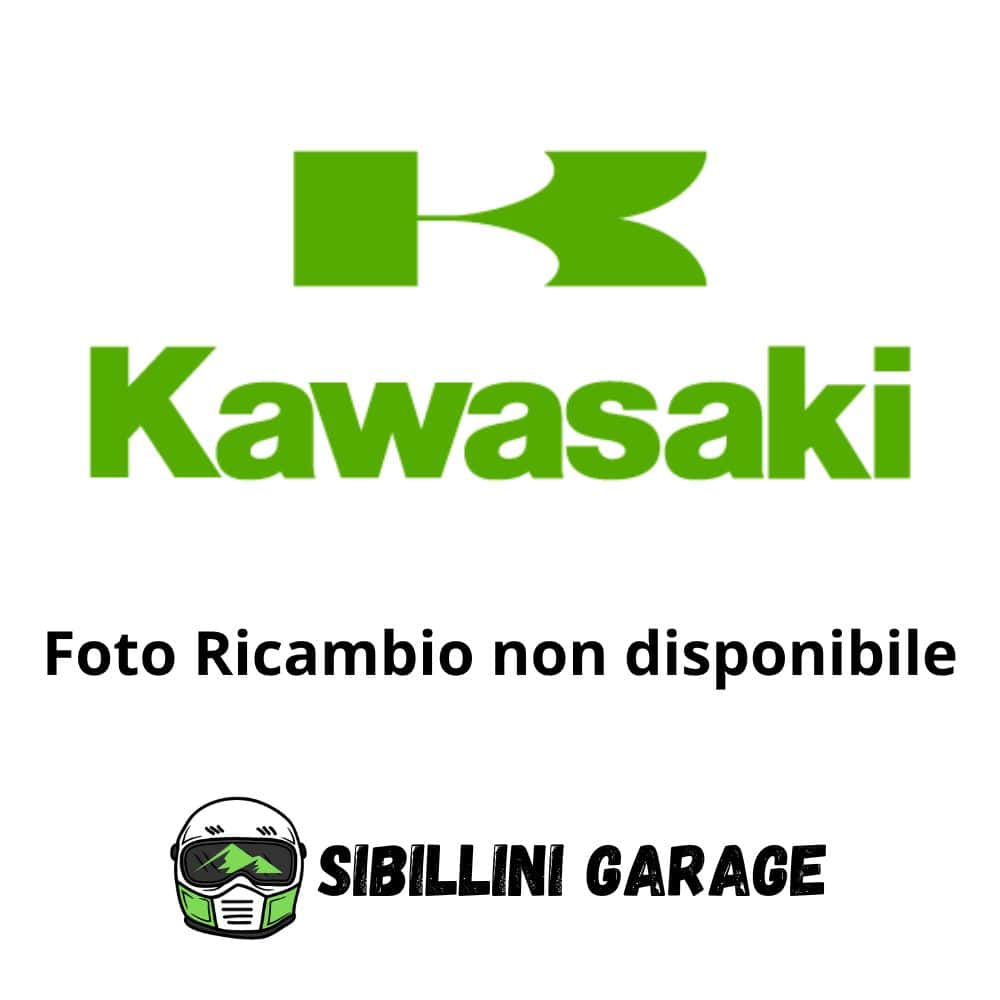 110601474 Guarnizone Cpoerchio Frizione Originale Kawasaki KH500